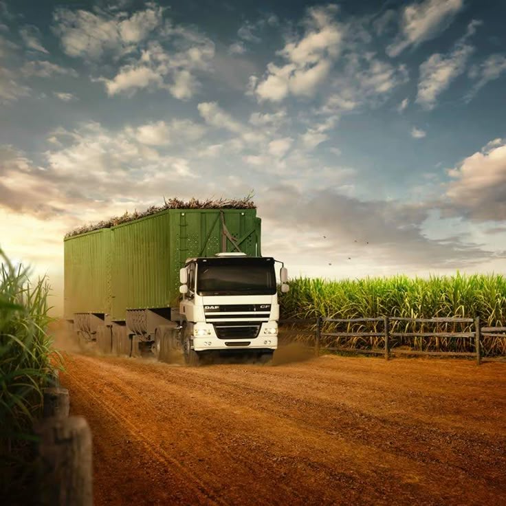 Logística Agrícola Eficiente con Inseroca