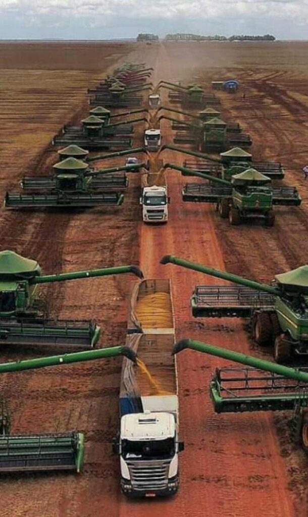 Transporte de Químicos y Fertilizantes